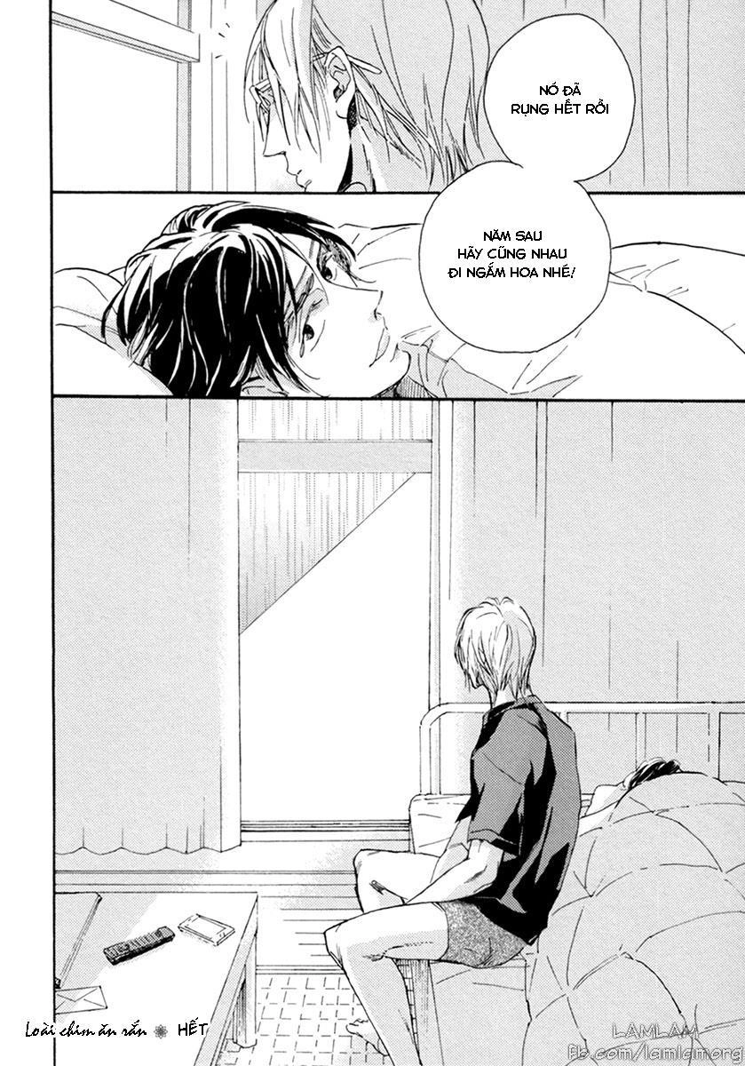 Hebikui Tori Chapter 3 - 35