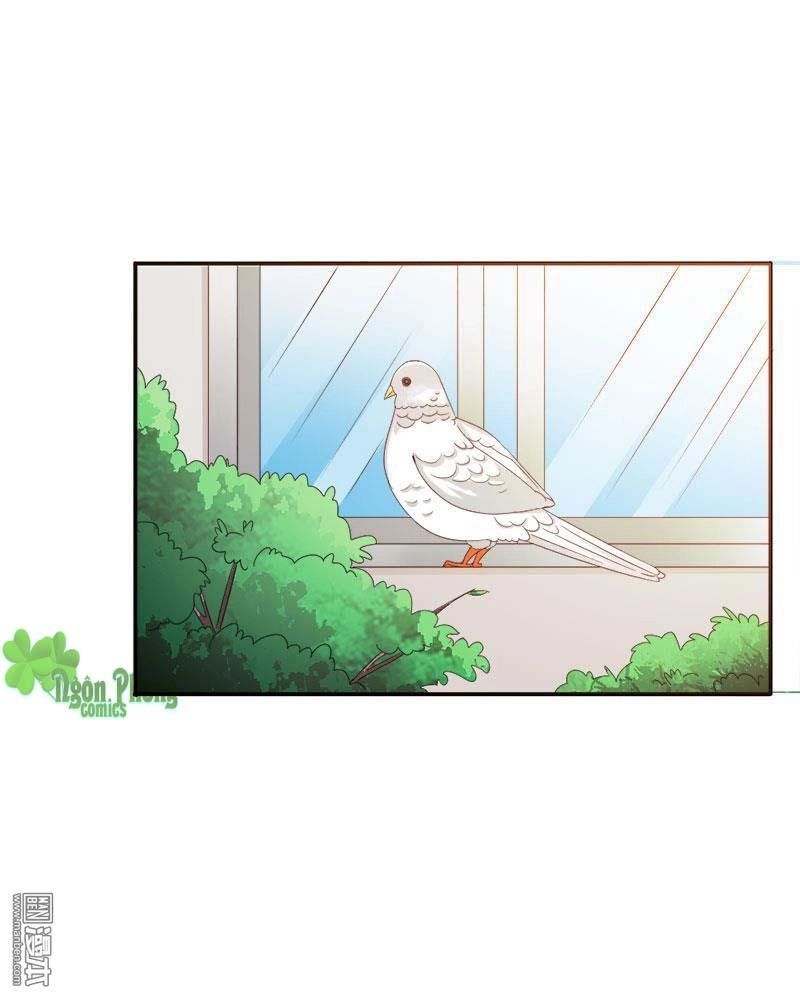 Em Vẫn Còn Nhỏ Chapter 103 - 12