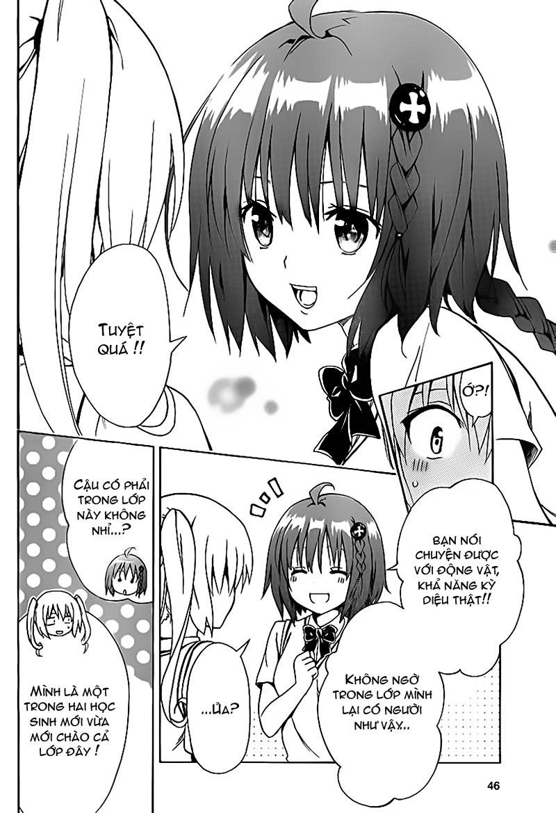 To Love - Ru Darkness Chapter 1 - 39