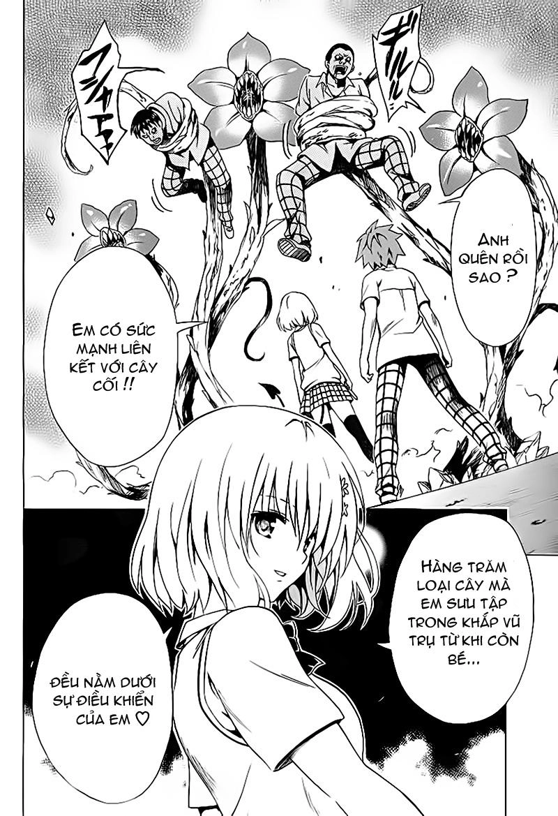 To Love - Ru Darkness Chapter 1 - 59