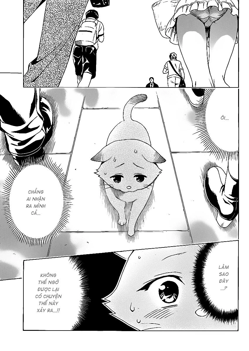 To Love - Ru Darkness Chapter 13.5 - 5