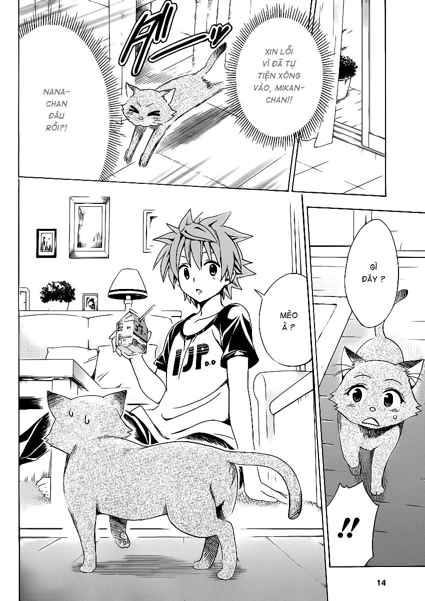 To Love - Ru Darkness Chapter 13.5 - 12