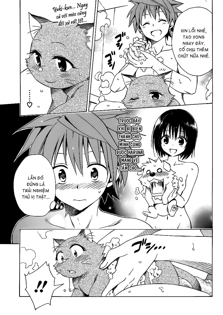 To Love - Ru Darkness Chapter 13.5 - 17