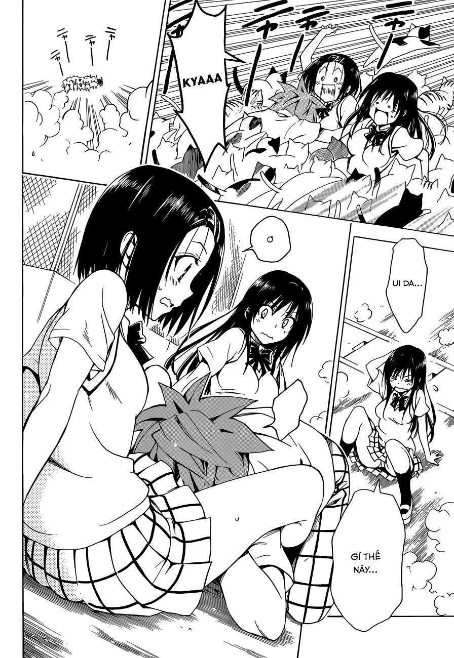 To Love - Ru Darkness Chapter 41 - 31