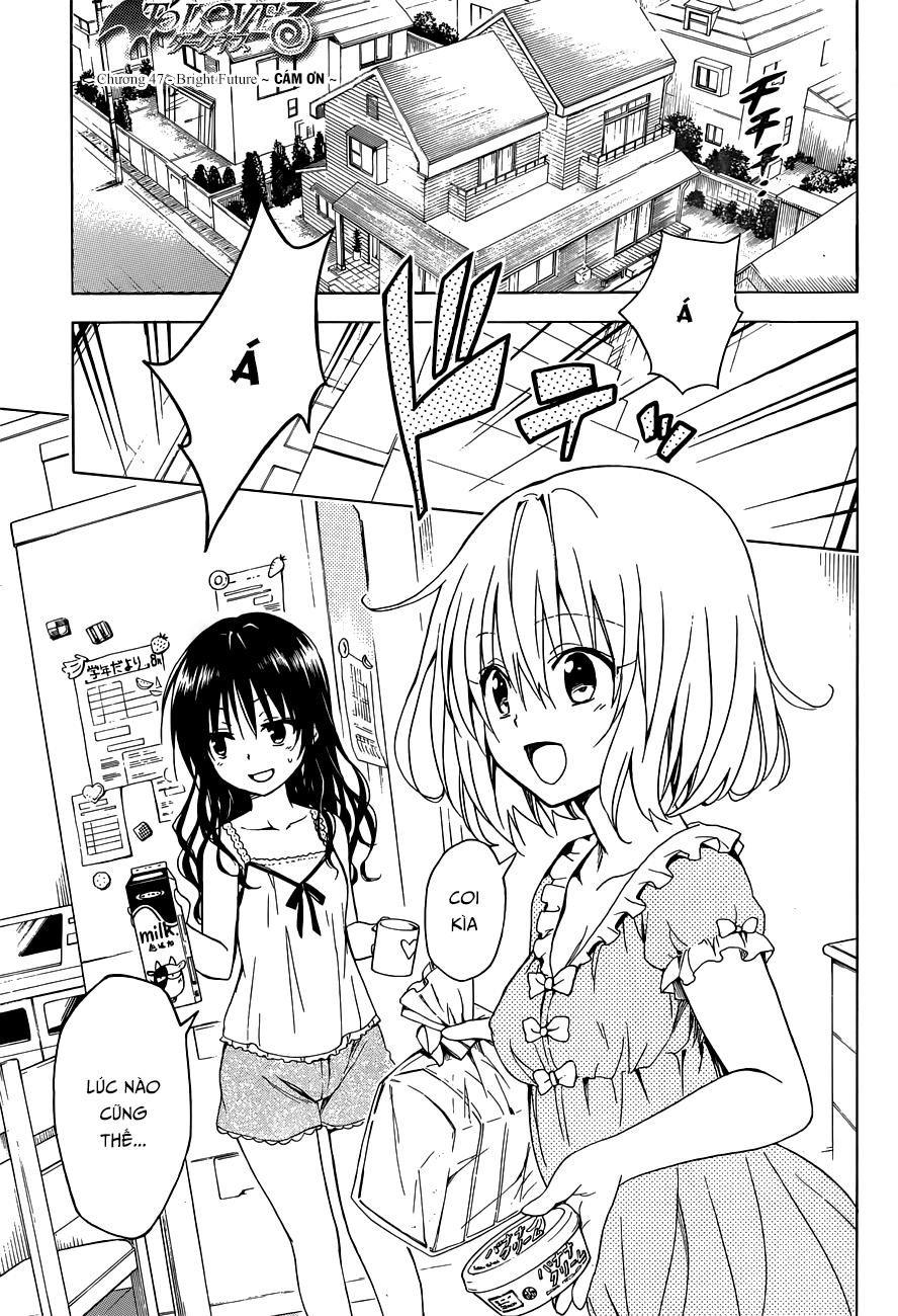 To Love - Ru Darkness Chapter 47 - 2