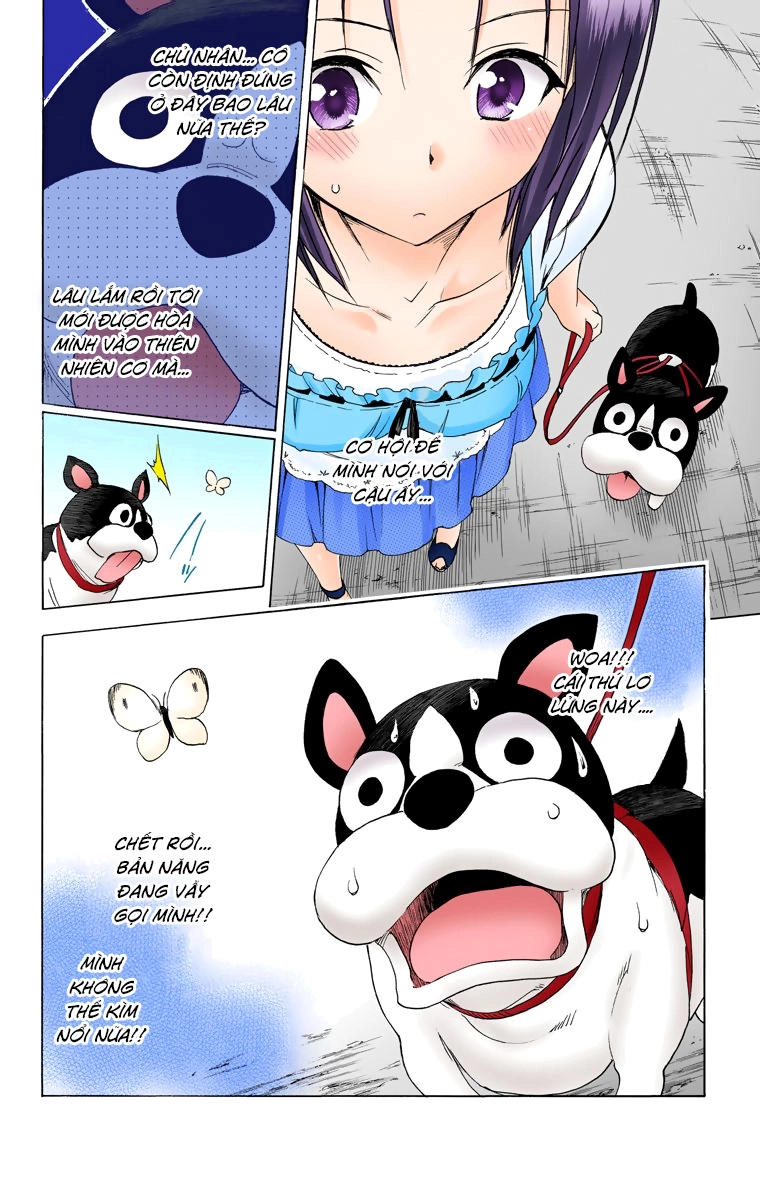 To Love - Ru Darkness Chapter 52 - 30