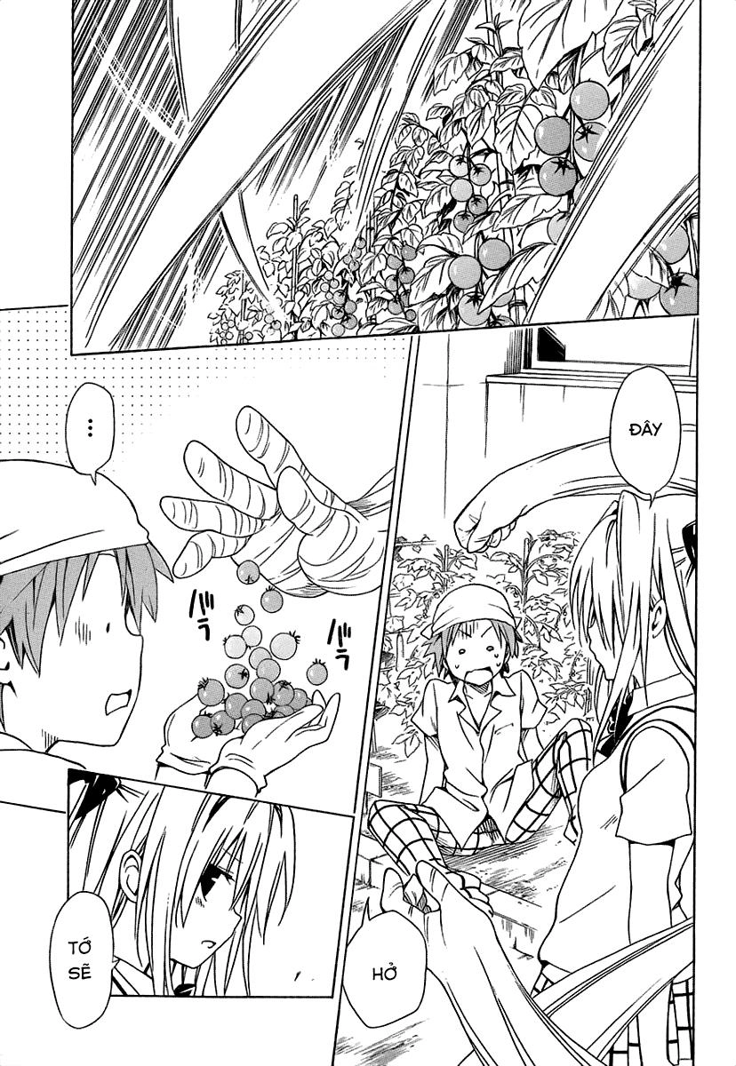 To Love - Ru Darkness Chapter 53.2 - 12