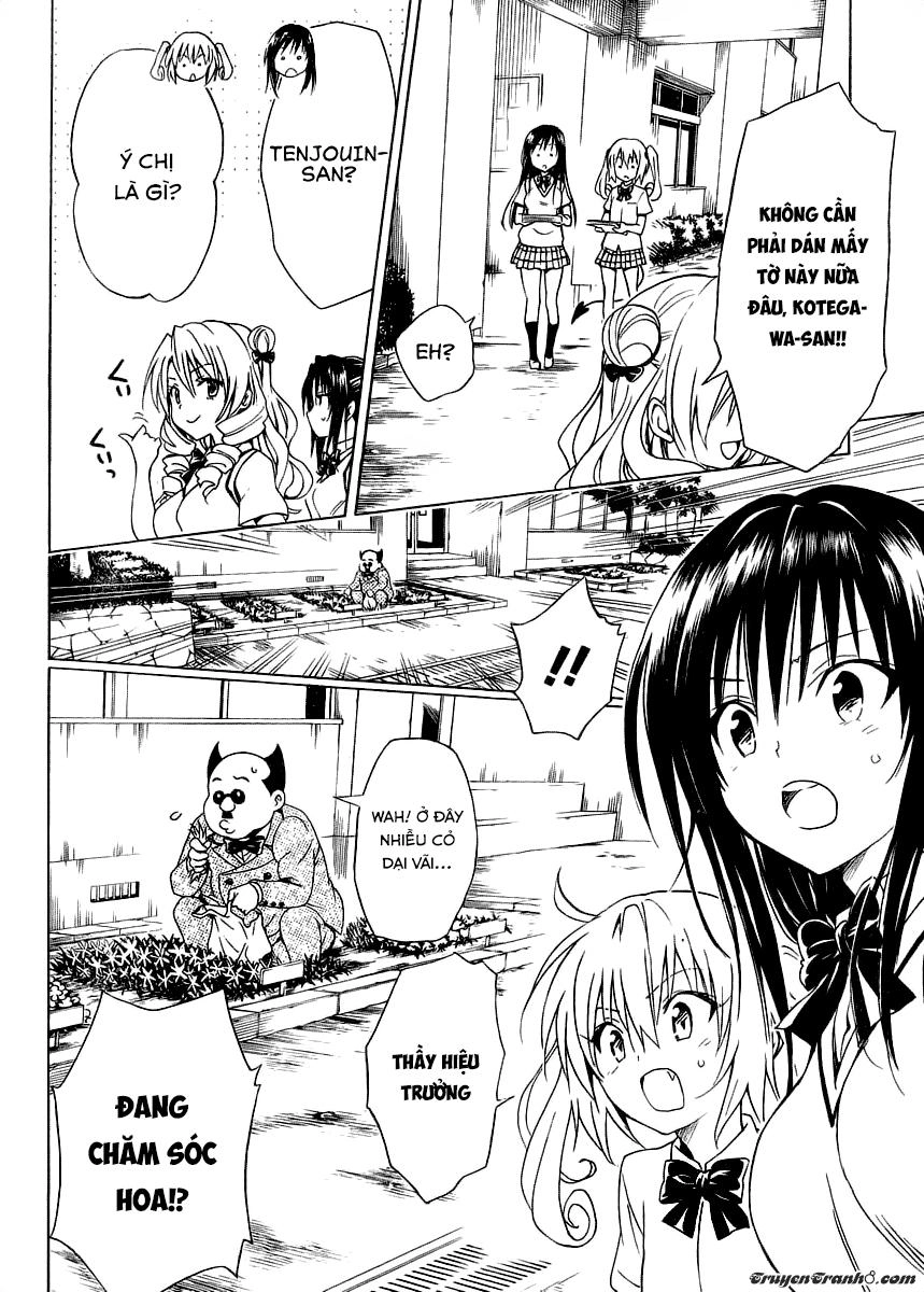 To Love - Ru Darkness Chapter 57 - 20