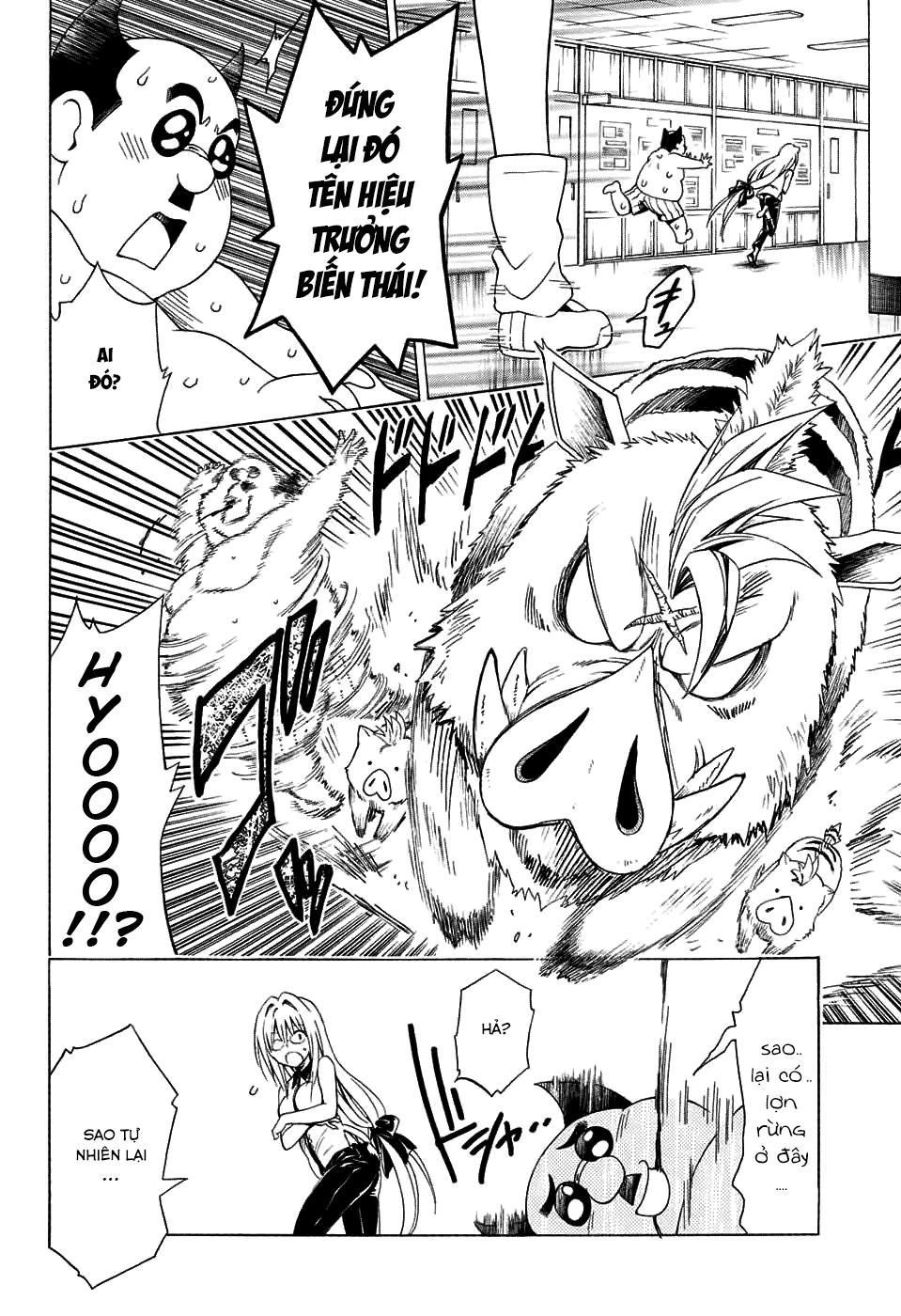 To Love - Ru Darkness Chapter 64 - 3