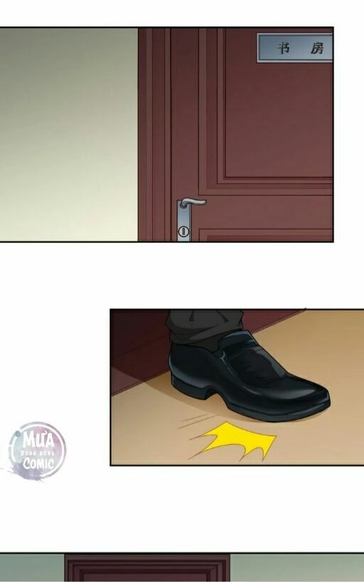 Song Diện Tổng Tài Sủng Thê Chỉ Nam Chapter 7.1 - 23