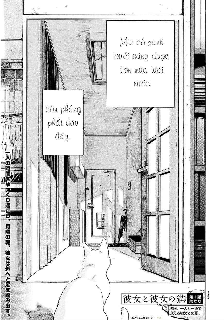 Chú Mèo Và Cô Chủ Chapter 1 - 31