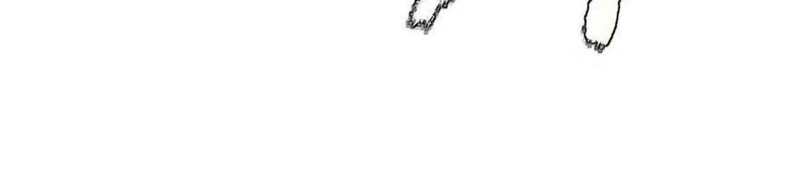 Cùng Ngự Thần Thú Báo Thù Chapter 1 - 19