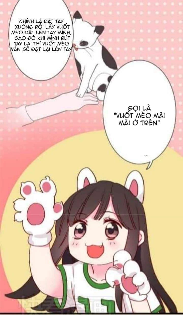 Chuyện Ngày Thường: Gấu Nhỏ Dư Và Thỏ Thỏ Hứa Chapter 9 - 10