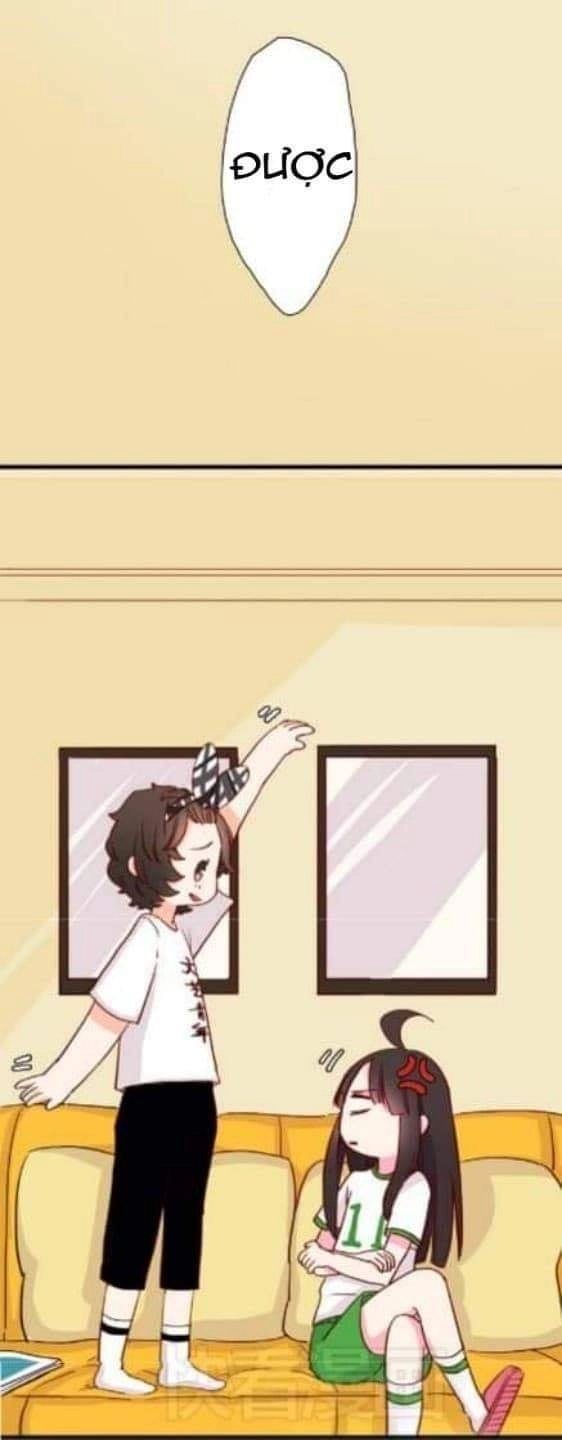 Chuyện Ngày Thường: Gấu Nhỏ Dư Và Thỏ Thỏ Hứa Chapter 9 - 19