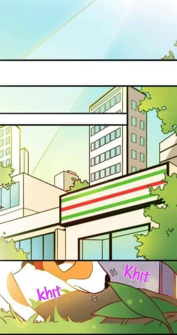 Chuyện Ngày Thường: Gấu Nhỏ Dư Và Thỏ Thỏ Hứa Chapter 9 - 20