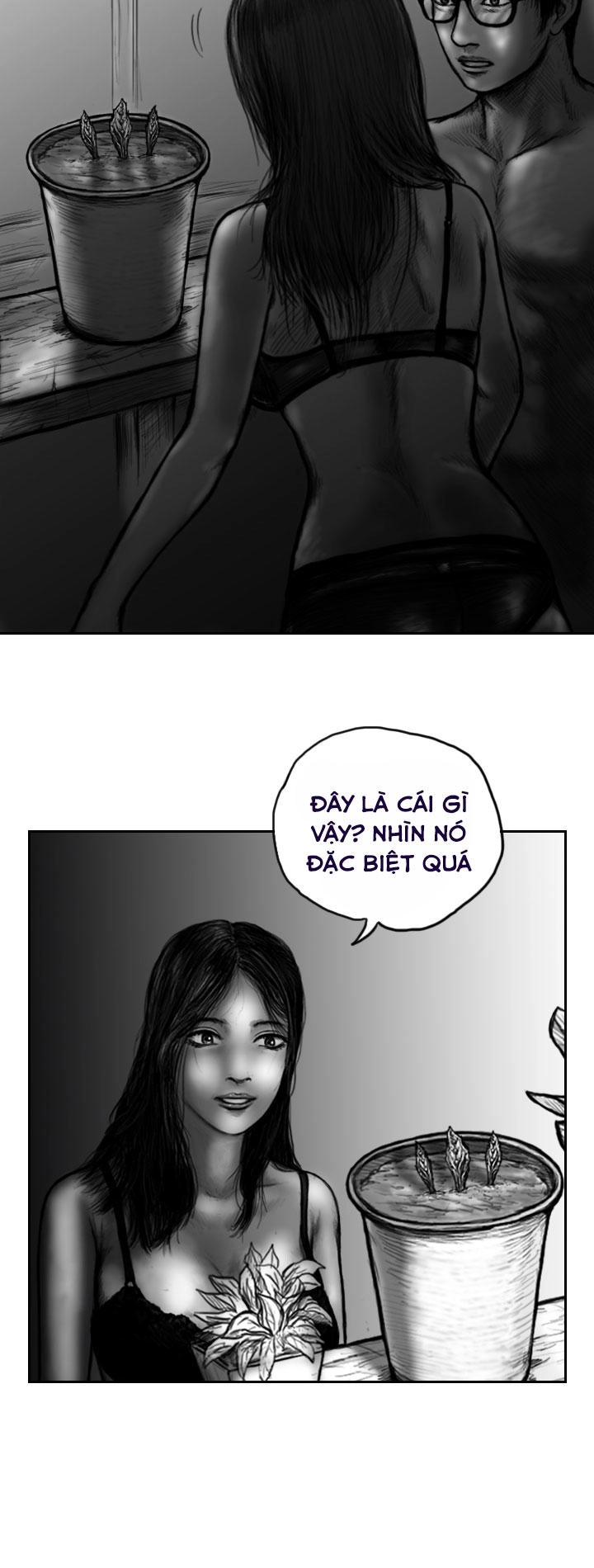 Hạt Giống Mỹ Nhân Chapter 4 - 16