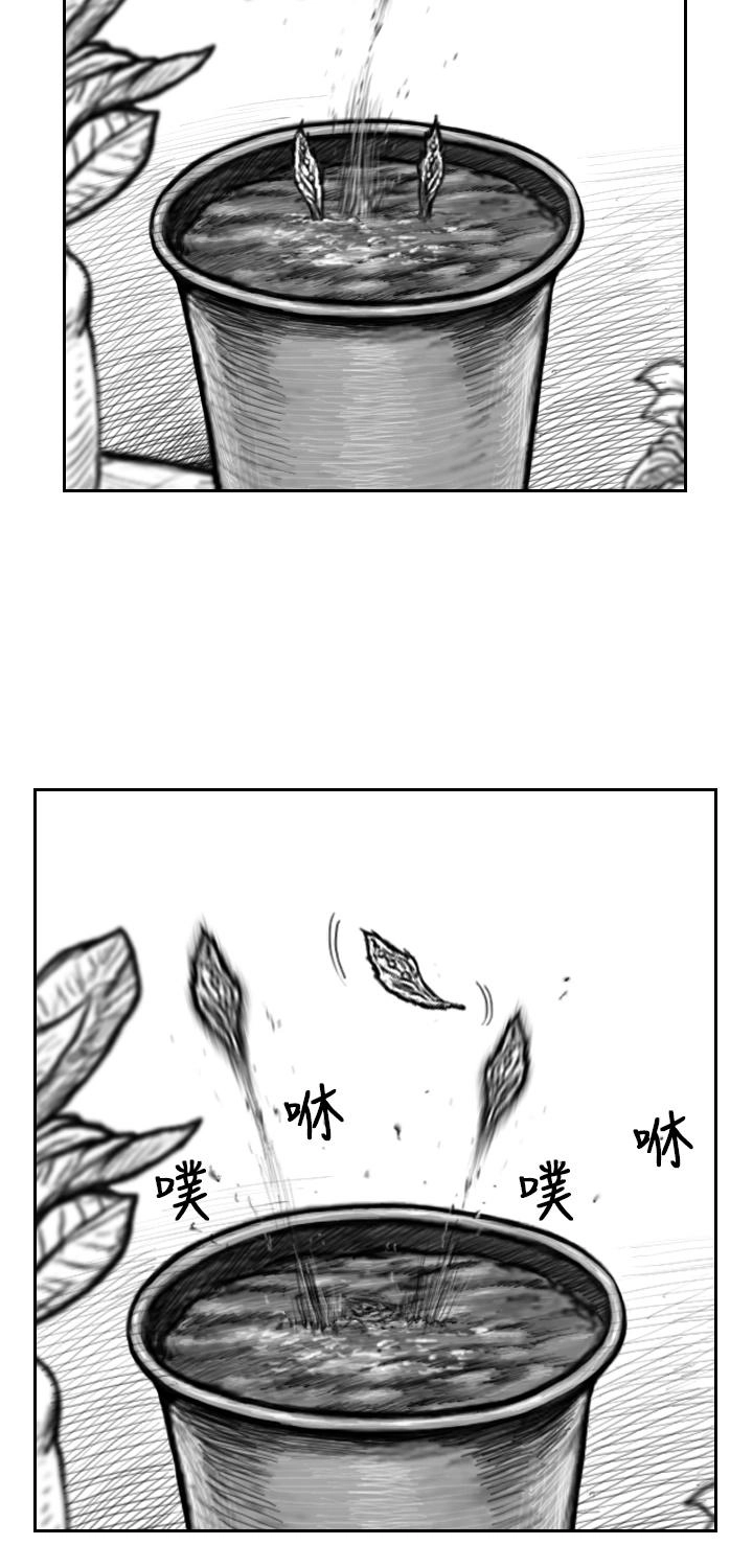 Hạt Giống Mỹ Nhân Chapter 4 - 24