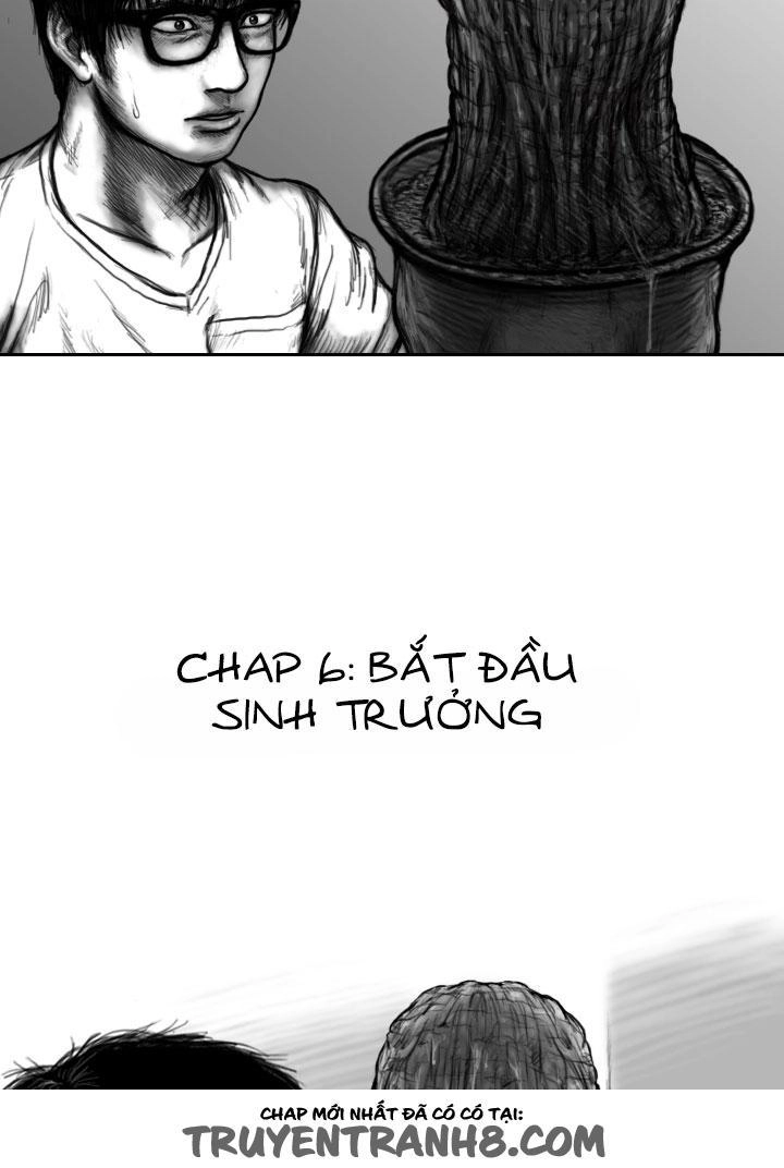 Hạt Giống Mỹ Nhân Chapter 6 - 3