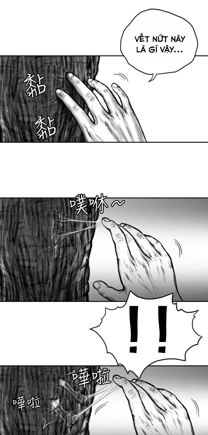 Hạt Giống Mỹ Nhân Chapter 6 - 8