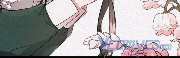 Công Chúa Ashtarte Chapter 2 - 7