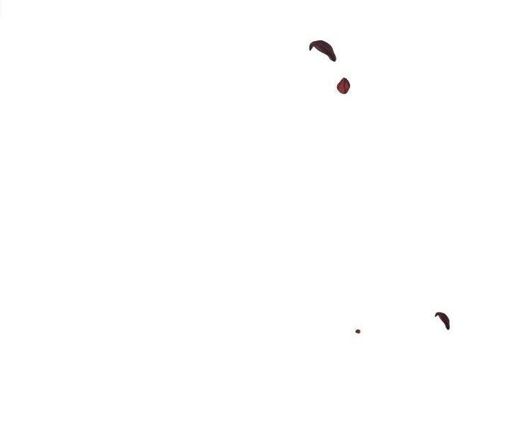 Công Chúa Ashtarte Chapter 44 - 72