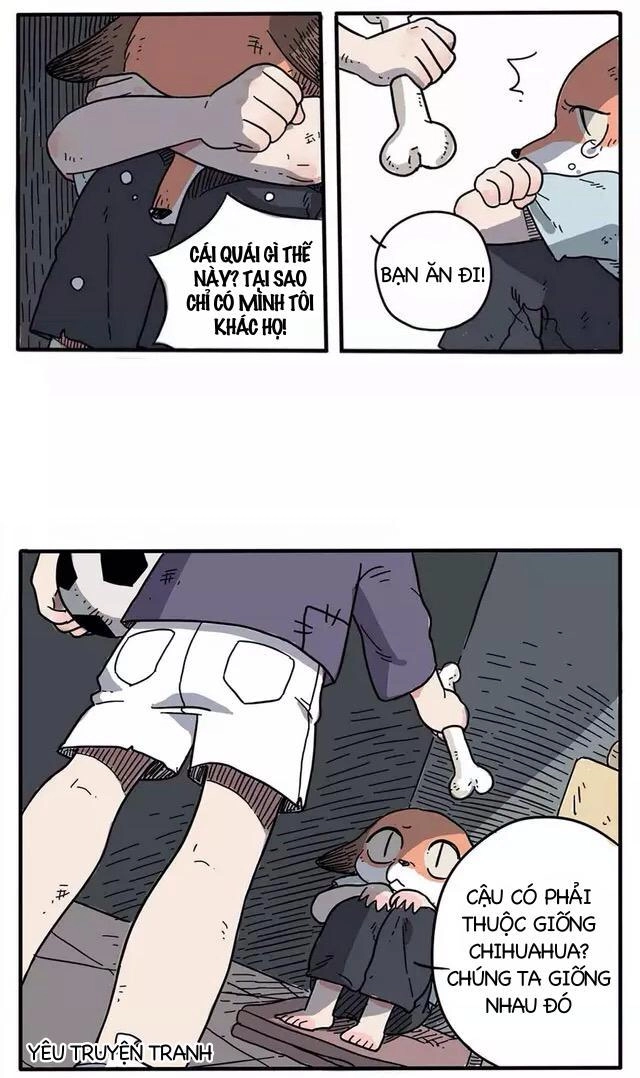 Bạn Trai Tôi Là Cáo Cam Chapter 1 - 7