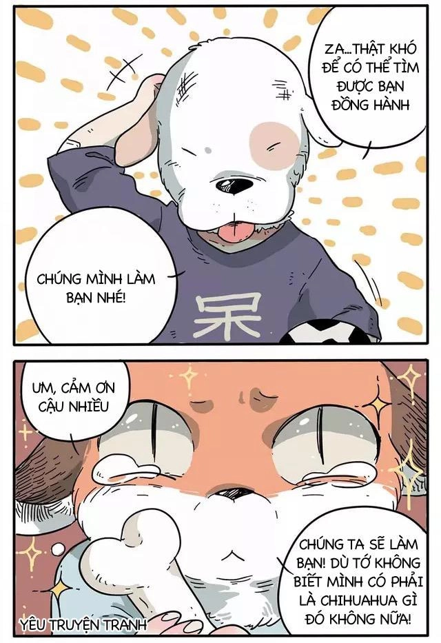 Bạn Trai Tôi Là Cáo Cam Chapter 1 - 8