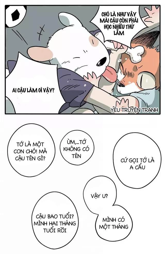 Bạn Trai Tôi Là Cáo Cam Chapter 1 - 9