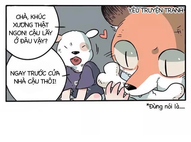 Bạn Trai Tôi Là Cáo Cam Chapter 1 - 10