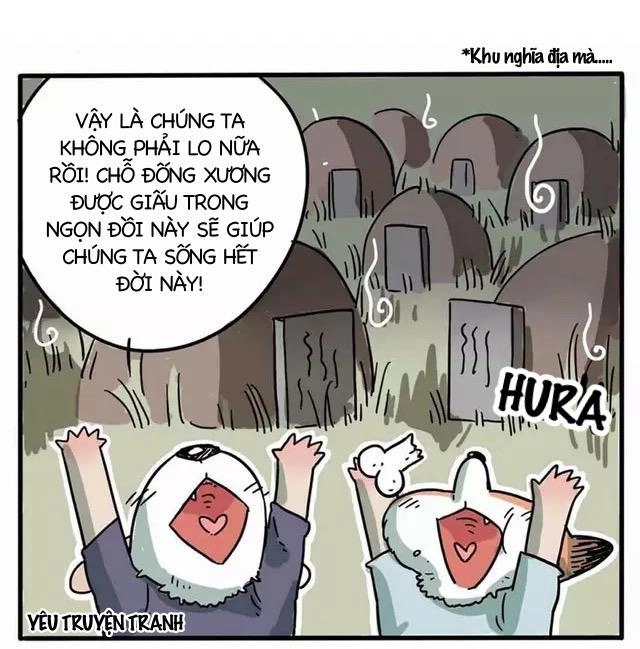 Bạn Trai Tôi Là Cáo Cam Chapter 1 - 11