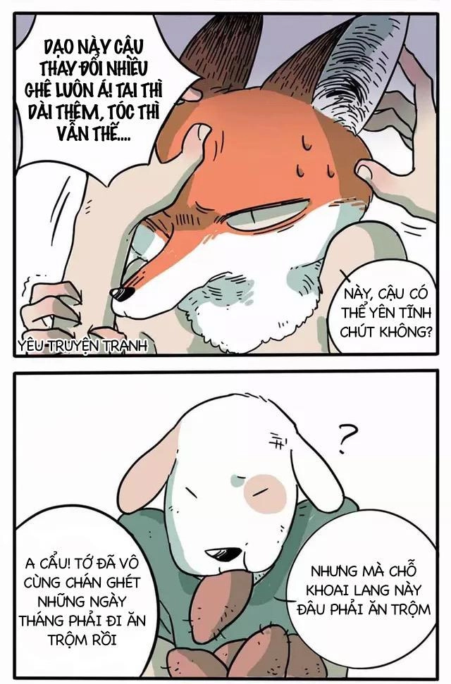 Bạn Trai Tôi Là Cáo Cam Chapter 1 - 13