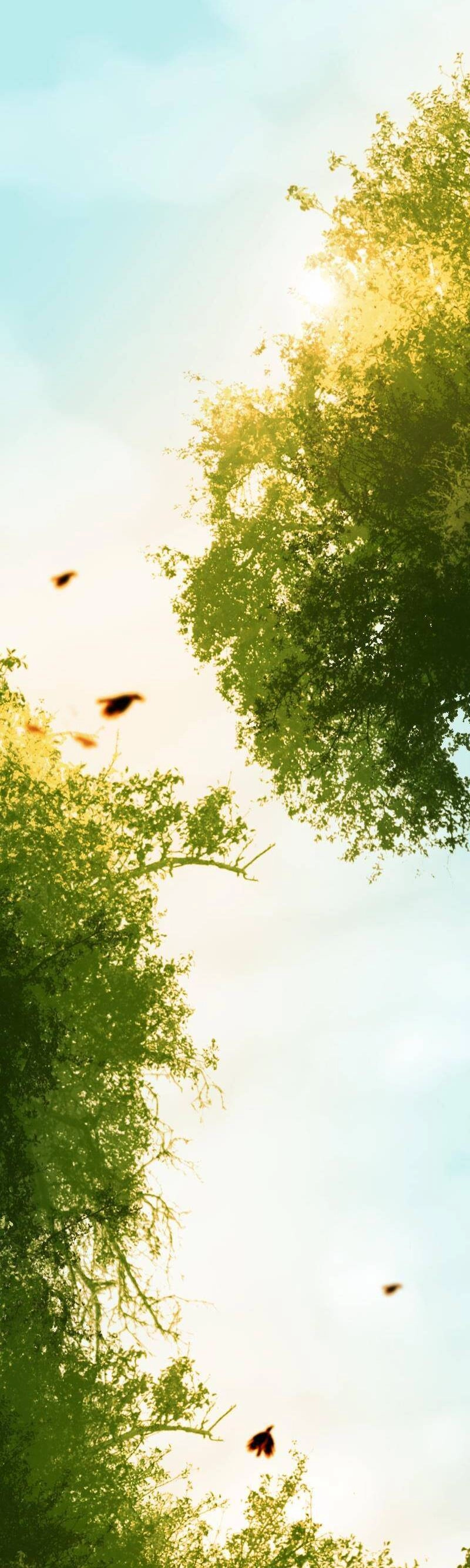 Hoàng Đế Máu Lạnh Của Tôi Chapter 22 - 7