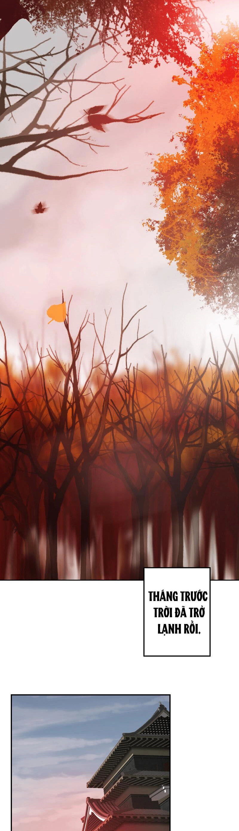 Hoàng Đế Máu Lạnh Của Tôi Chapter 69 - 3