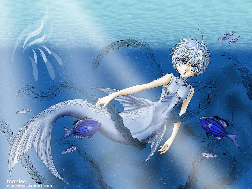 Wallpaper Chapter 11 - 25