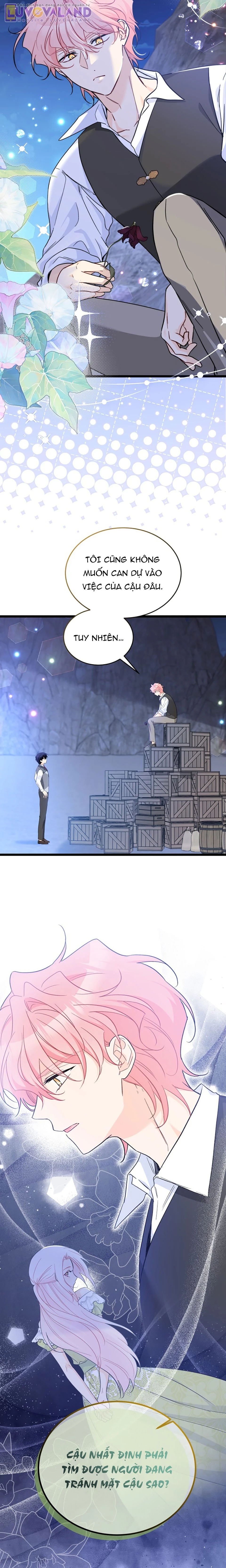 Mối Liên Kết Giữa Báo Đen Và Bé Thỏ Chapter 194 - 3