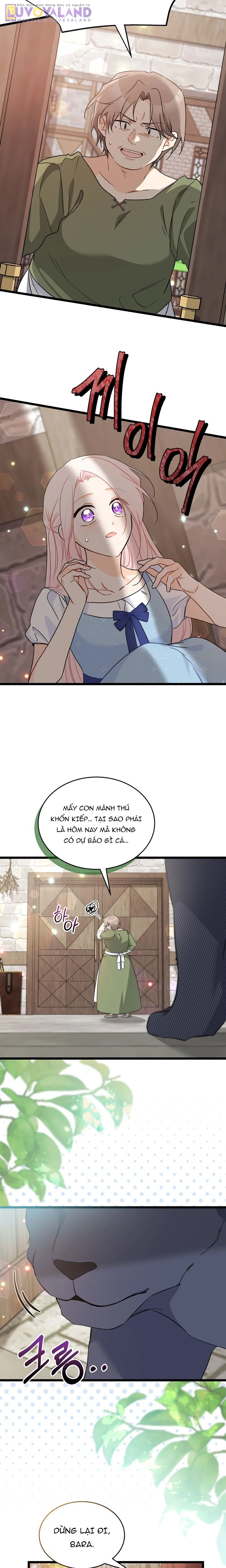 Mối Liên Kết Giữa Báo Đen Và Bé Thỏ Chapter 194 - 19