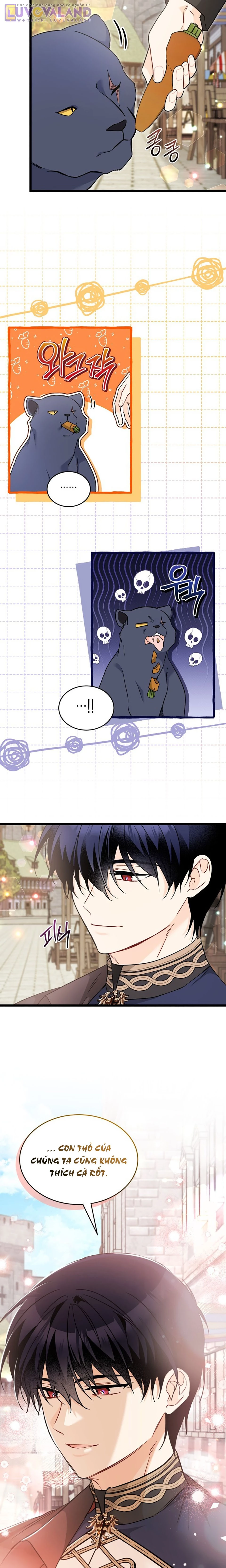 Mối Liên Kết Giữa Báo Đen Và Bé Thỏ Chapter 195 - 5