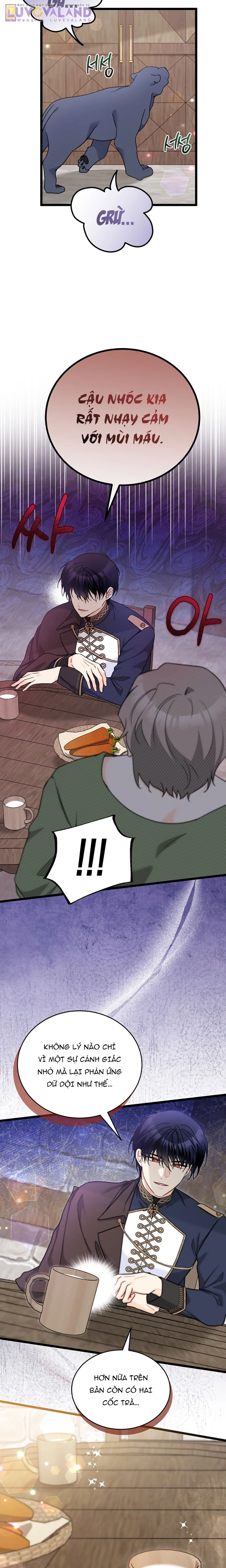 Mối Liên Kết Giữa Báo Đen Và Bé Thỏ Chapter 195 - 11