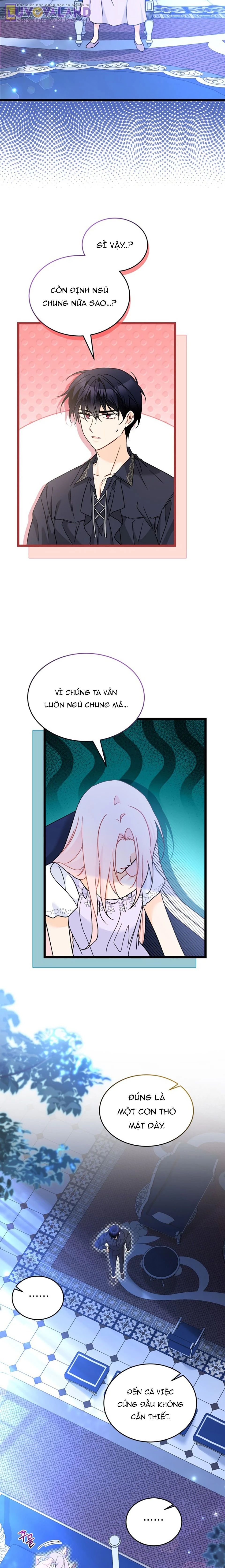 Mối Liên Kết Giữa Báo Đen Và Bé Thỏ Chapter 198 - 17