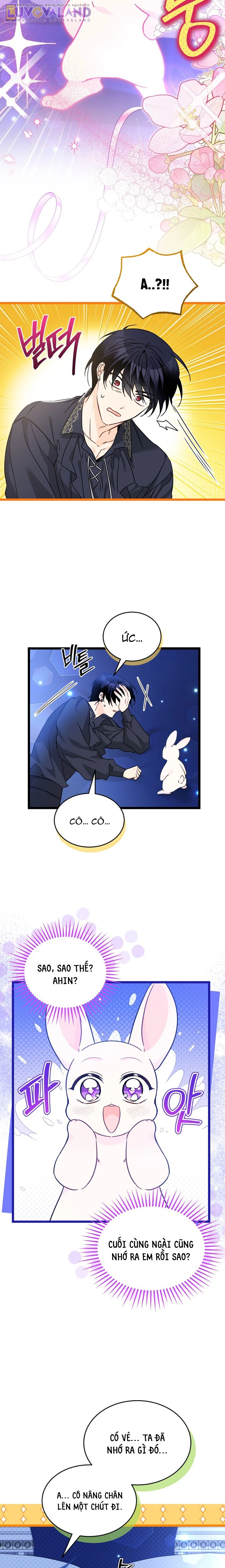 Mối Liên Kết Giữa Báo Đen Và Bé Thỏ Chapter 199 - 13