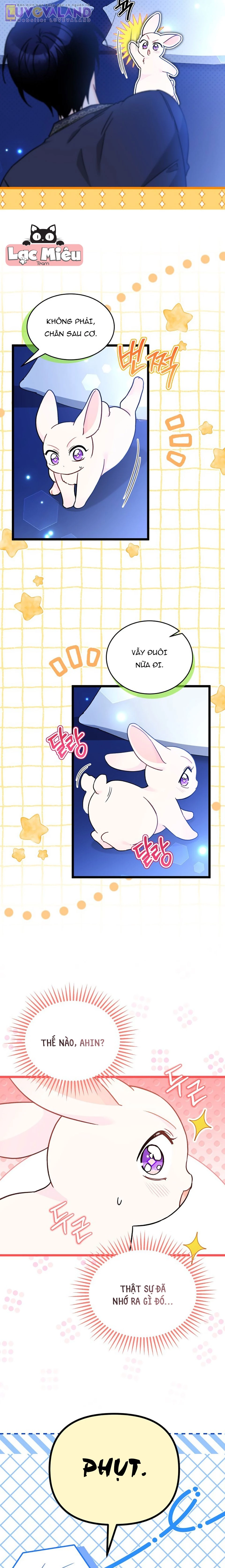 Mối Liên Kết Giữa Báo Đen Và Bé Thỏ Chapter 199 - 14