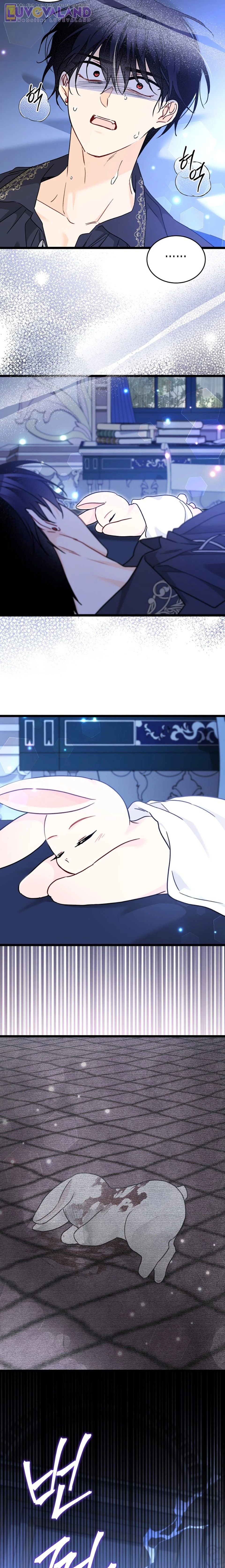 Mối Liên Kết Giữa Báo Đen Và Bé Thỏ Chapter 199 - 18