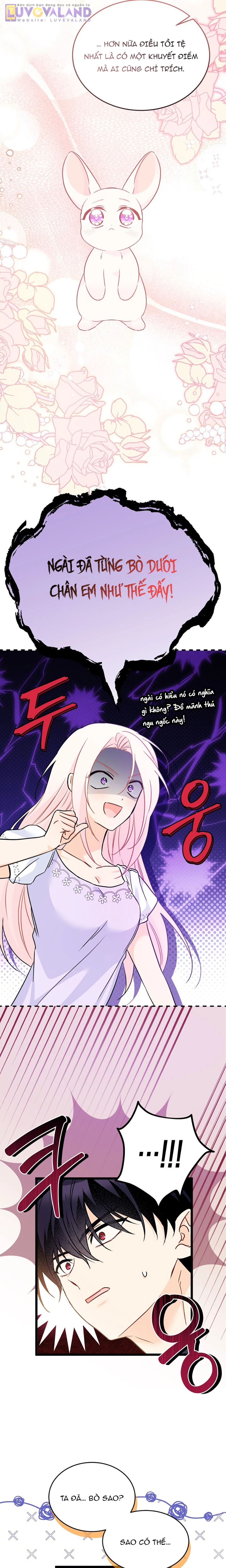 Mối Liên Kết Giữa Báo Đen Và Bé Thỏ Chapter 200 - 5