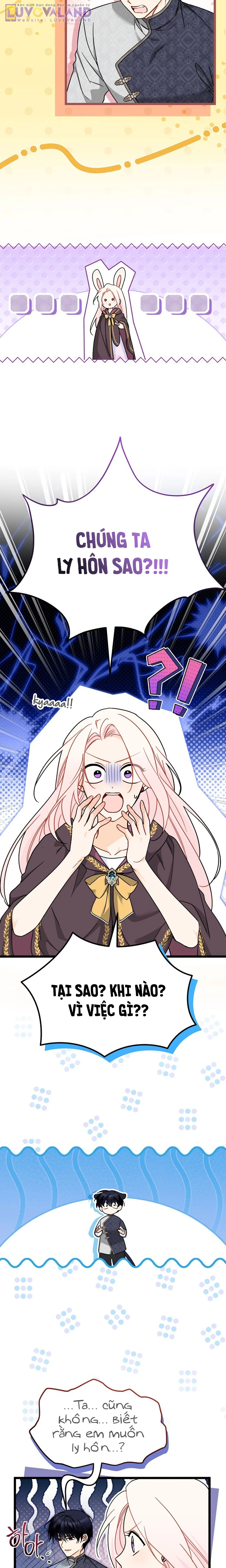 Mối Liên Kết Giữa Báo Đen Và Bé Thỏ Chapter 206: End - 7