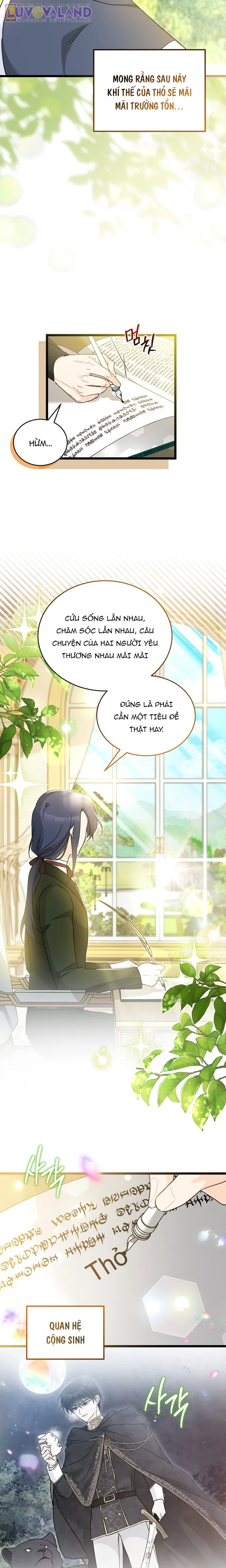 Mối Liên Kết Giữa Báo Đen Và Bé Thỏ Chapter 206: End - 17