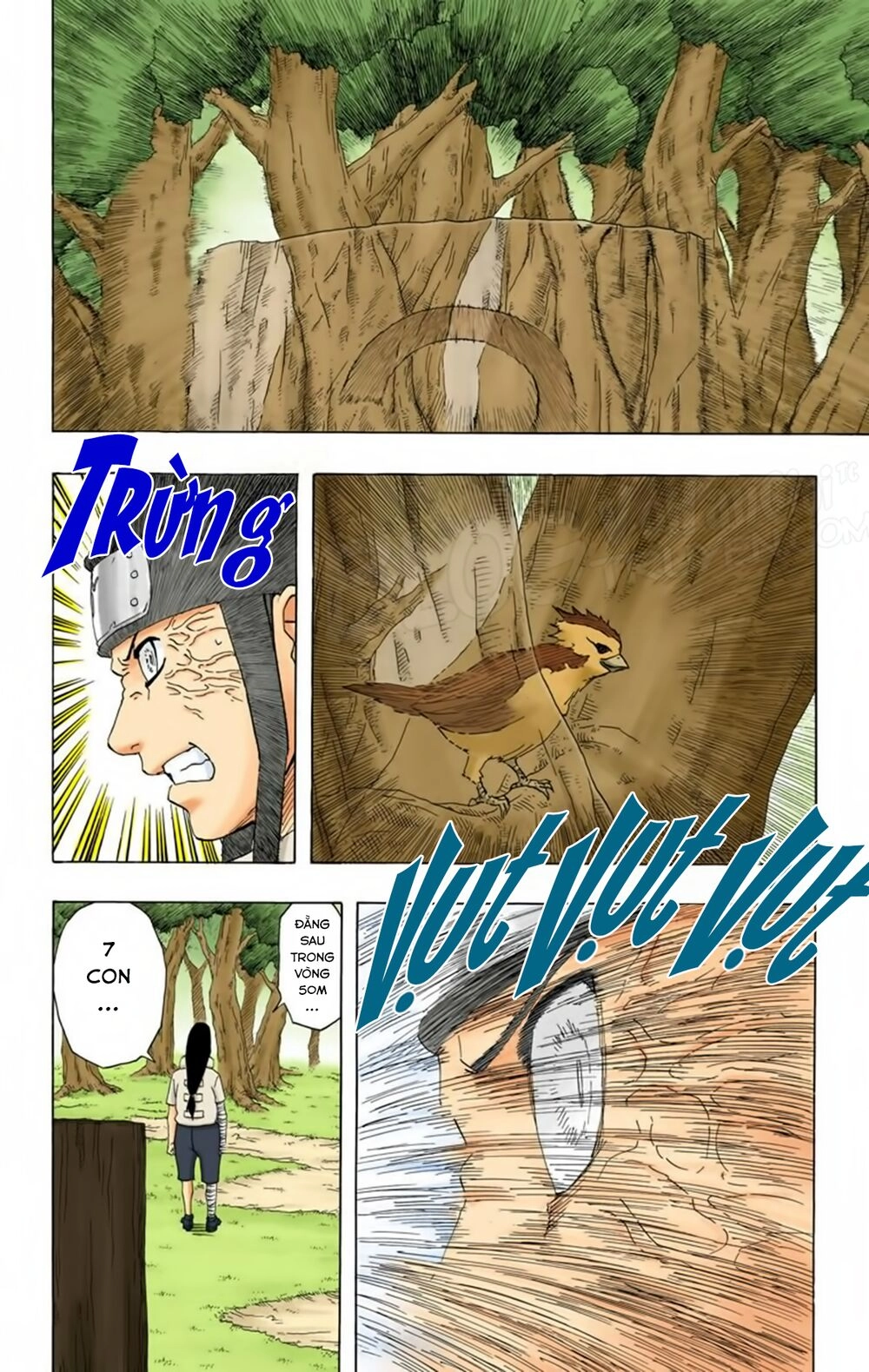 Naruto Full Màu Chapter 172 - 17