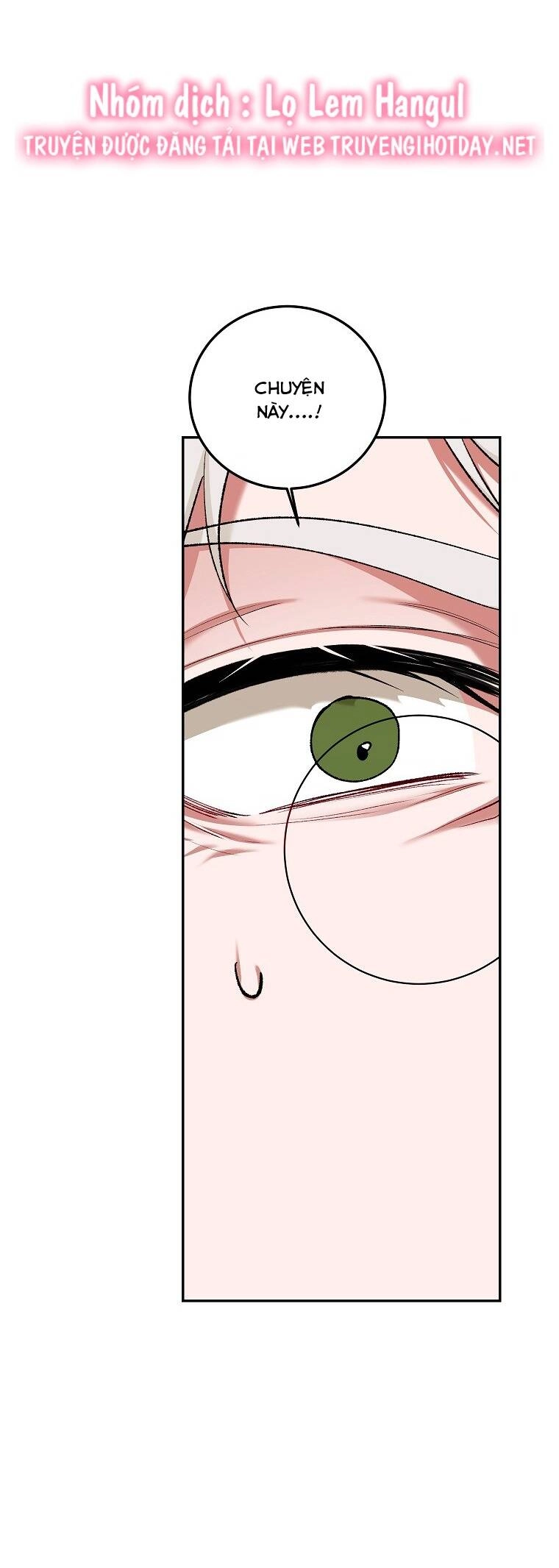 Quãng Đời Còn Lại Của Nữ Phụ Yểu Mệnh Chapter 66 - 22