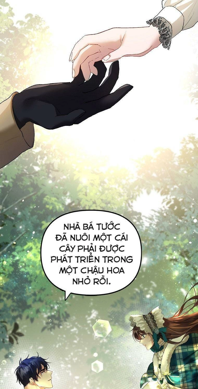 Quãng Đời Còn Lại Của Nữ Phụ Yểu Mệnh Chapter 17 - 53