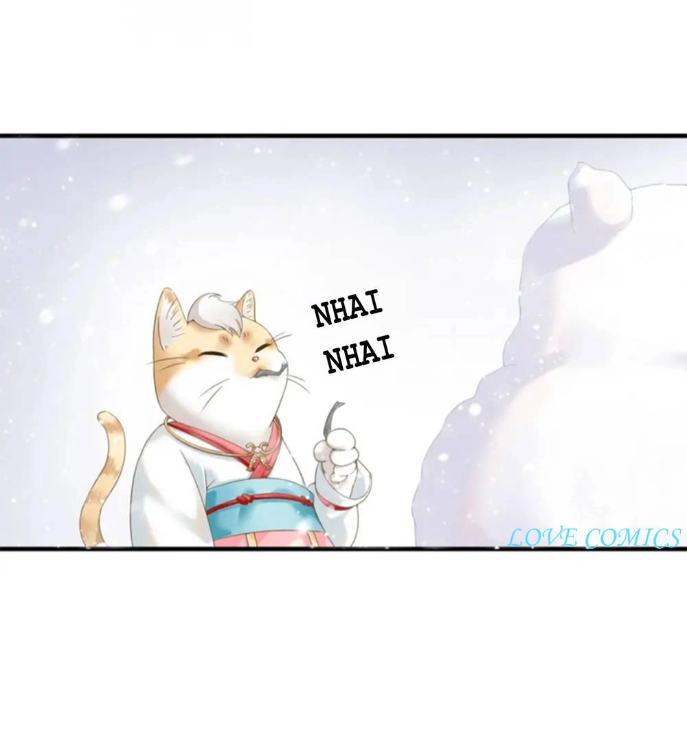 Dòng Chảy Trong Mơ Chapter 1 - 37