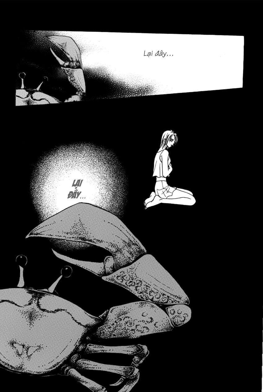 New Pet Shop Of Horror Chapter 6 - 20